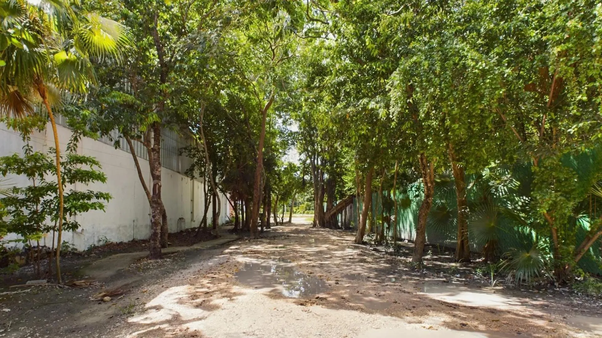 Villa Casa Kuaan Mani Th 1 à Tulum Hébergement de vacances